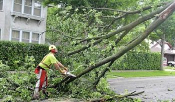 St Paul Streets Dept. employee wields a chainsaw to cut out a tree blocking the intersection of Prior and Berkeley as clean up after the early morning thunder and wind storm continued in St. Paul Friday afternoon